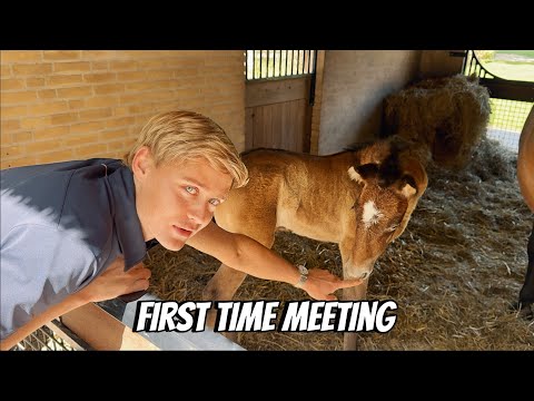 JESSE MEETS MY NEW FOAL + FIRST TIME IN THE FIELD