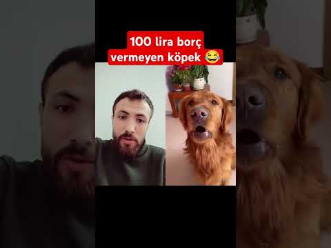 100 lirası olan varmı ? 😂