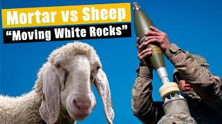 Mortar bombing Sheep