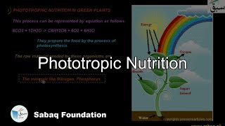 Phototropic Nutrition