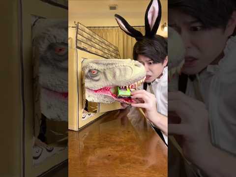 A Story Of Shark 🦈 Or Candy Chocolate 🍫 Dinosaur🦖 | #shorts #challenge