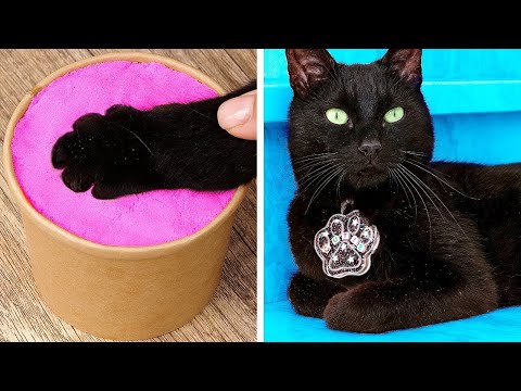 🐱✨ Locket DIY Fabuloso para Gato: Gadgets & Artesanatos Incríveis que Seu Pet Vai Amar! 🐾💡