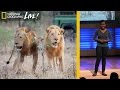Conservation Efforts in Zambia's Luangwa Valley