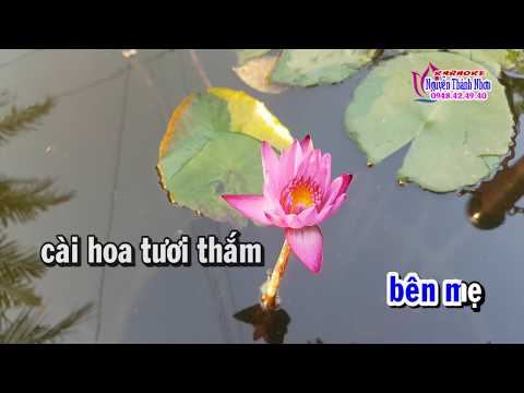 Karaoke | VU LAN NHỚ MẸ | Tone nam [ Lý Qua Cầu + Lý Mỹ Hưng]