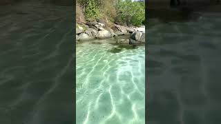 Tropical paradise ambience and gentle wave sounds