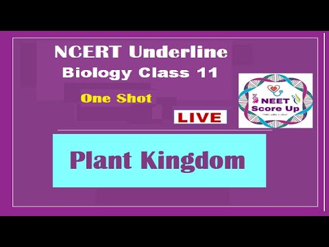 Flower Kingdom Promo Code 12 2021 Flower Kingdom Promo Code 12 2021, Flower Kingdom Palm Beach Gardens Promo Code