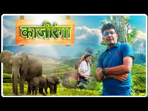 काजीरंगा आसाम ||  आसाम टूर|| Vijay pareek