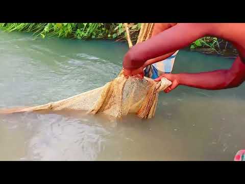 Best Fishing Video | Catching Fish Hunting By Hook | Village Fishing in Beautiful Natural