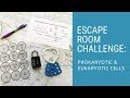 Prokaryotic vs Eukaryotic Cells Challenge