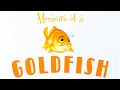 Exploring the Adventures of a Goldfish