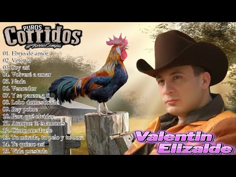 🎺 Valentín Elizalde ⭐ Un Recorrido Épico por Sus Mejores Clásicos 💛 El Gallo de Oro Inolvidable 🐓✨