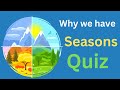Understanding the Video Tutorial