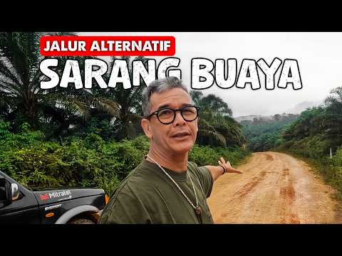BUAYA PALING BANYAK DI INDONESIA ADA DISINI II KUTAI TIMUR, KALTIM