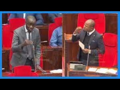 🔴#Live: BUNGENI  - WABUNGE WACHARUKA KWA  HOJA NZITO - MAJUKUMU YAO KUPAMBANIA WANANCHI WAO