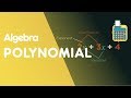 Understanding Algebraic Concepts