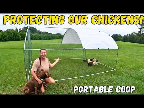 Protecting Our Chickens! Portable Chicken Coop!