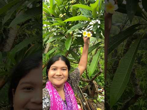 অবশেষে বাবা কথা রাখল 😃🌸|| #bangla_vlog #kathgolap #flowers #gardening #villagelife #baba #craft