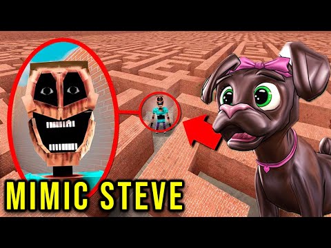 Can MIMICER STEVE find me in a MAZE?! (*Gmod Sandbox*)