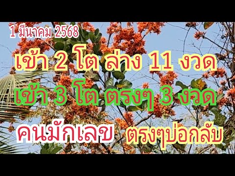 #คนมักเลข เข้า 2 โตล่าง 11 งวด...เข้า 3 โตตรง 3 งวด งวดก่อนเข้า "377" อย่าลืม 1 มี.ค 68