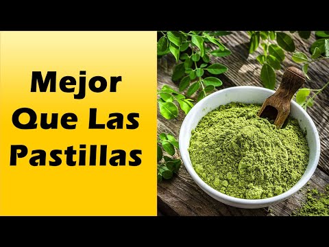 Para Que Sirve La MORINGA: BENEFICIOS Y PROPIEDADES