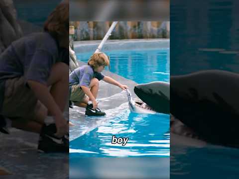 The boy tamed an orca.#shorts