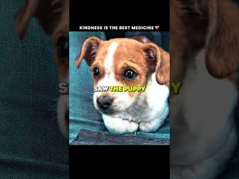 Sweetest Uber Drive EVER! 🥹 #animals #pets #dog #dogs #girl