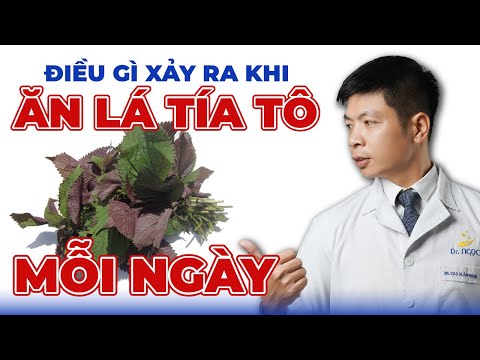 Điều Gì Xảy Ra Khi Ăn Lá Tía Tô Mỗi Ngày | Dr Ngọc