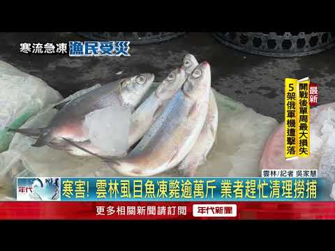 寒流肆虐！ 虱目魚凍死「逾萬斤」 漁民憂有下一波 - YouTube