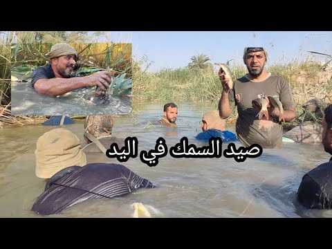 صيد سمك السمتي في اليد.. شاهد و استمتع