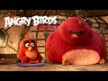 Trailer 8 do filme Angry Birds