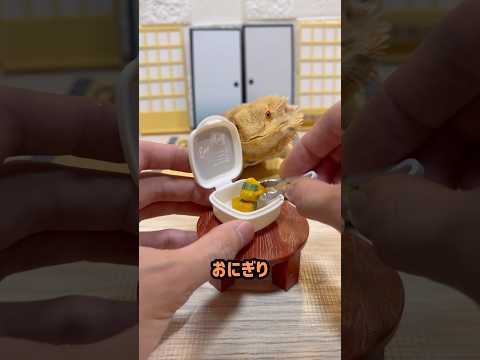 最強のお弁当作ってみた　feat.ゴキブリ
