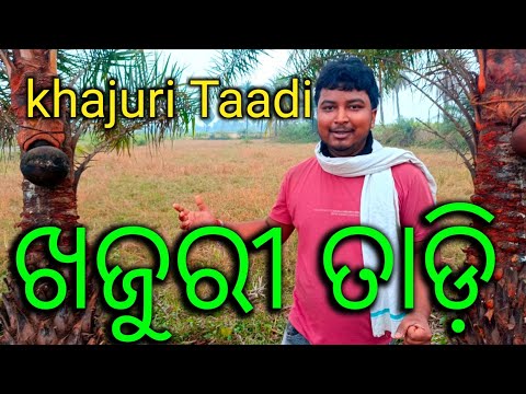 khajuri Gacha Ra Taadi ||ଖଜୁରୀ ତାଡ଼ି