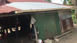 Pastor Malay’s house