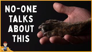 The Pet Loss Grief No-One Warns You About