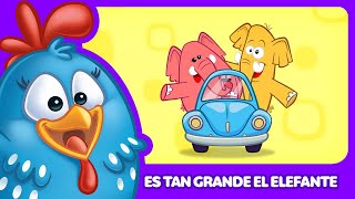 Es tan grande el Elefante - Gallina Pintadita 5 - Canciones infantiles de la Gallina