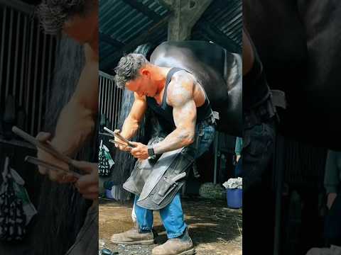 Satisfying hoof trim #satisfying #oddlysatisfying #asmr #farrier #horse