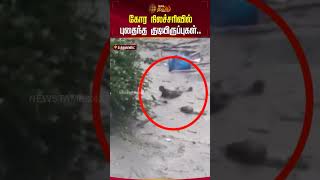 கோர நிலச்சரிவில் புதைந்த குடியிருப்புகள்.. #uttarakhand #landslide #floodaffected