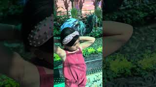 Bellagio Conservatory 2026 | Free Must-See Attraction in Las Vegas! #Shorts