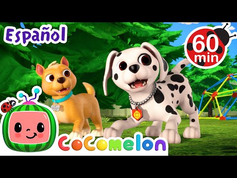 Cita de juegos con cachorros | Caricaturas para niños | En español