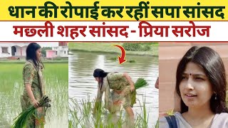 प्रिया सरोज सादा अंदाज वायरल वीडियो #akhileshyadav #priyasaroj #viralvideos #2027 #samajwadiparty