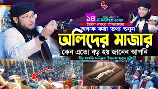 অলিদের মাজার কেন এত বড় হয়? অবাক করা তথ্য | মুফতি মনিরুল ইসলাম মুরাদ চৌধুরী | Bangla Waz 2025