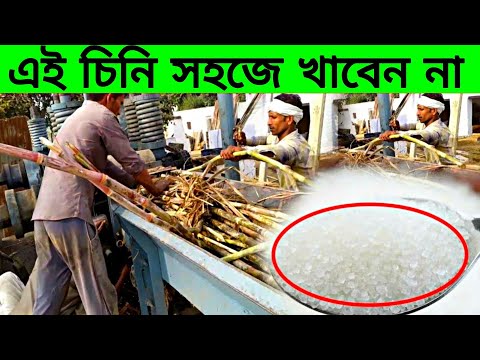 যেই কারণেই ডাক্তারেরা চিনি খেতে মানা করে। দেখে নিন অবাক করা তথ্য। Sugar Making Process In Factory