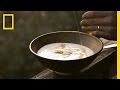 Yogurt Making Process and Techniques