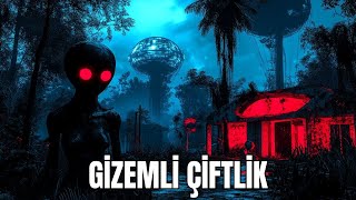 Stardust Çiftliği'nde Uzaylılarla Savaşan Aile