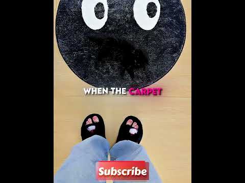 «Посмотрите, какую огромную кровать хозяин купил для своего котика 🖤🐱 #shorts»