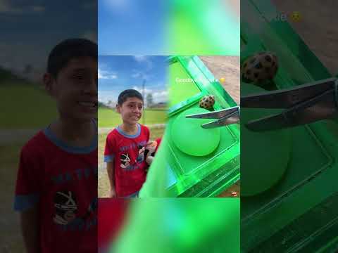 Se burlan del niño solo por ser pobre y no creerás lo que pasó