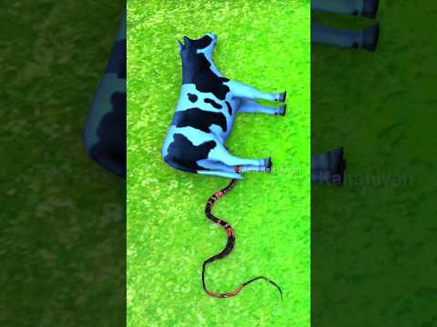 नागिन का जहर | Nagin Ki Kahani | Animals Stories | Hindi Stories | Kahani | #shorts