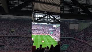 FC Köln vs. Dortmund (Aufstellung Effzeh)