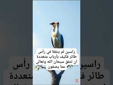 سبحان الله عما يصفون