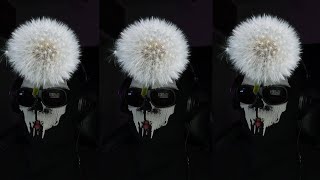Moji ist hübscher als diese Streamer 💀